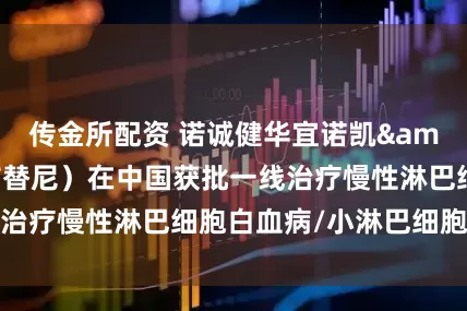 传金所配资 诺诚健华宜诺凯&reg;（奥布替尼）在中国获批一线治疗慢性淋巴细胞白血病/小淋巴细胞淋巴瘤
