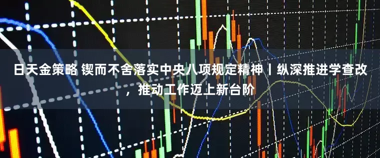日天金策略 锲而不舍落实中央八项规定精神丨纵深推进学查改，推动工作迈上新台阶