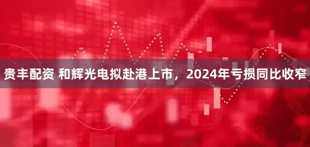 贵丰配资 和辉光电拟赴港上市，2024年亏损同比收窄